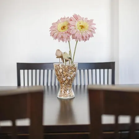 La Higuera 4 Conil De La Frontera